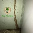 Photo #14: Bug Thumpers Pest Control
