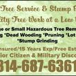 Photo #1: Brown Tree Service & Stump Removal