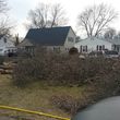 Photo #4: Brown Tree Service & Stump Removal