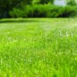 Photo #1: Patriot Turf Management Full Service Lawn Care