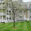 Photo #3: Patriot Turf Management Full Service Lawn Care