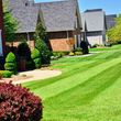 Photo #2: Lawn Service for wilson county area