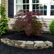 Photo #6: Ab landscaping