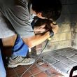Photo #22: AIR DUCT CLEANING ONLY $150 GUARANTEED OR YOU DONT PAY