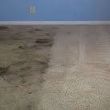 Photo #5: ****PATRIOT  CARPET  CLEANING****
