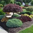 Photo #1: Macaluso Landscaping company