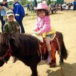 Photo #1: ABBY's Pony Rides