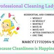 Photo #1: Professional Cleaning Lady,Cleaning Service, Residential or Commercial