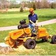 Photo #1: Patrick's Stump Grinding and Stump Removal