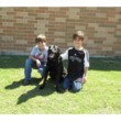 Photo #1: Tejas Elite Canine ~ Professional Dog Training~Obedience, Protection