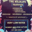Photo #1: Davey - The Wildlife Trapper: Racoons / Squirrels / Opossums