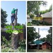 Photo #1: MCKINNEY PLANO ALLEN LOW PRICES CAMPOS TREE SERVICE