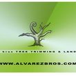 Photo #1: Alvarez Bros Tree Service & Landscaping. GARDENING SERVICE