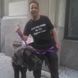 Photo #1: Chelsea Professional Dog Walking (Chelsea, Greenwich Village, Midtown)