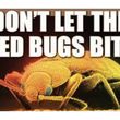 Photo #1: BED BUG REMOVAL - $50 OFF