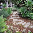 Photo #1: 25 Years Experience Landscape Design /Maintenance