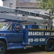 Photo #1: Interstate Tree Inc. STORM DAMAGE Clean-up and TREES CUT CHEAP and more