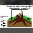 Photo #1: Premier Tree and Landscape. STUMP GRINDING