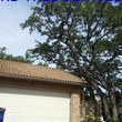 Photo #1: RB.Tree Service