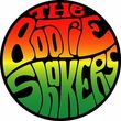Photo #1: The Bootie Shakers - Live 70's Disco Band