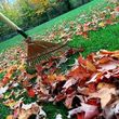 Photo #3: EAGLE CONTRACTING. Fall/Winter Landscaping Services