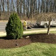 Photo #1: 1st Rate Lawngevity Lawn Services - Aeration specials
