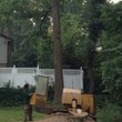 Photo #6: A CUT ABOVE TREE SERVICE OF PA, INC,
