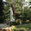 Photo #3: A CUT ABOVE TREE SERVICE OF PA, INC,