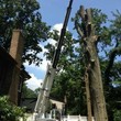 Photo #2: A CUT ABOVE TREE SERVICE OF PA, INC,