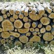Photo #1: FIREWOOD SERVICE AVAILABLE - POST OAK FIREWOOD
