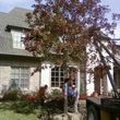 Photo #3: Artisan Tree Service - Trimming Removals and More