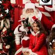 Photo #2: Santa Photos VIP & Family Portraits SAVE BIG