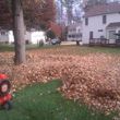 Photo #2: Vottero Landscape. Schedule Your FALL LEAF CLEANUPS Today... Professional & Affordable!