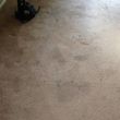 Photo #2: DVA Carpet Cleaning in Los Angeles