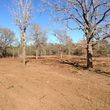 Photo #4: Land Clearing