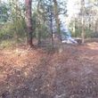 Photo #3: Land Clearing