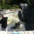 Photo #14: POOL TECHNICIAN. REPAIRS, RENOVATIONS AND MORE!