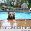 Photo #9: POOL TECHNICIAN. REPAIRS, RENOVATIONS AND MORE!
