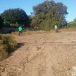 Photo #8: Garcia Landscape Maintenance/ Tree Service/ Irrigation