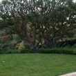 Photo #7: Garcia Landscape Maintenance/ Tree Service/ Irrigation