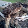 Photo #2: RAMIREZ TREE SERVICES -DEAD TREE REMOVAL, TRIMMING AND MORE!