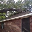 Photo #3: RAMIREZ TREE SERVICES -DEAD TREE REMOVAL, TRIMMING AND MORE!