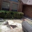 Photo #9: RAMIREZ TREE SERVICES -DEAD TREE REMOVAL, TRIMMING AND MORE!