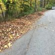 Photo #4: JOHN'S Landscaping / LEAF REMOVAL