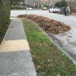 Photo #3: JOHN'S Landscaping / LEAF REMOVAL