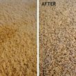 Photo #5: Super Green Carpet & Tiles Cleaning - Whole Carpet Cleaning & Pets Stains Removal