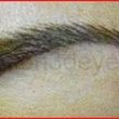 Photo #1: Perfection 3D Eyebrows