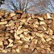 Photo #2: FIRE WOOD 175$ PER CORD