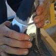 Photo #3: Richard's Tig & mig Mobile welding