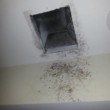 Photo #2: $20 per ROOM CARPET CLEANING